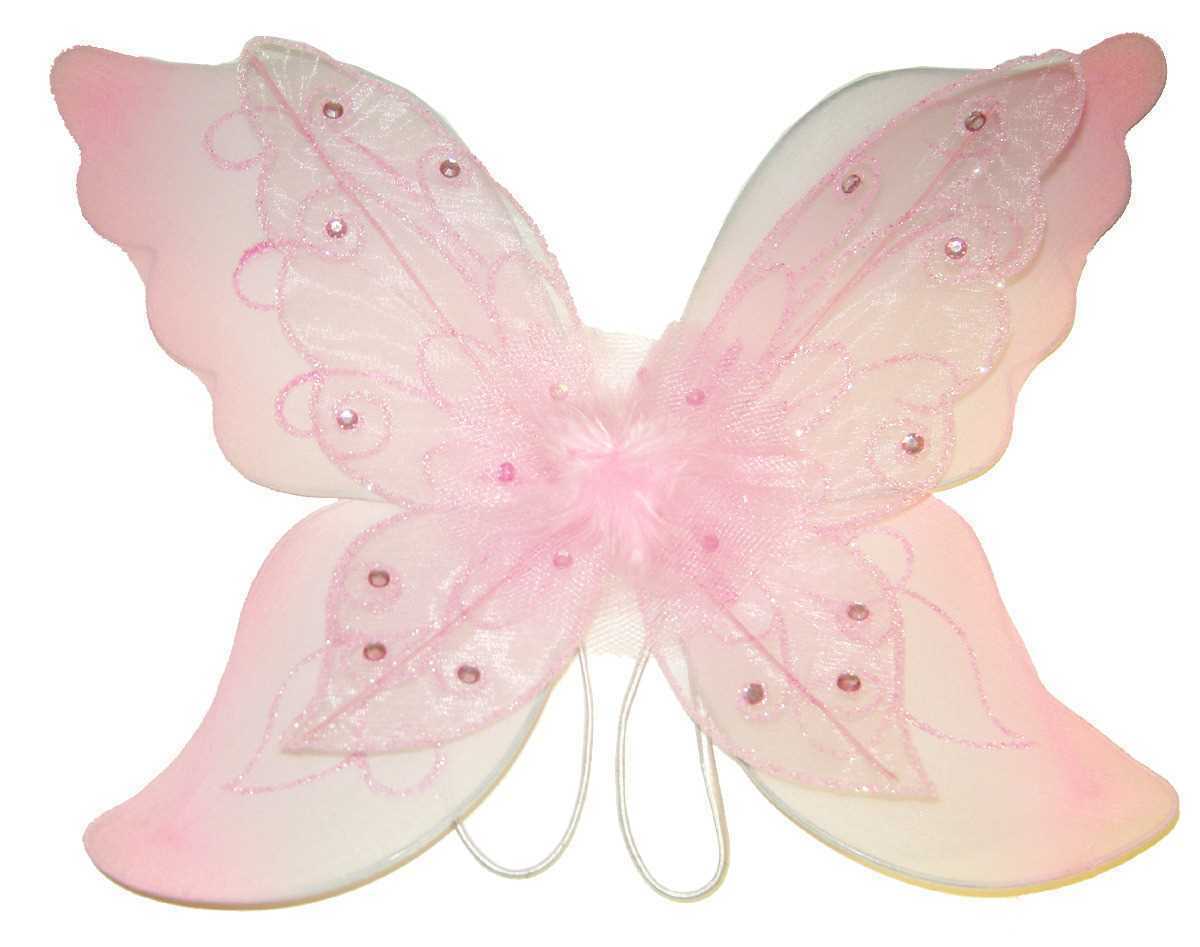 Download Buy 2 Layer Butterfly Wing Light/P Online in Australia